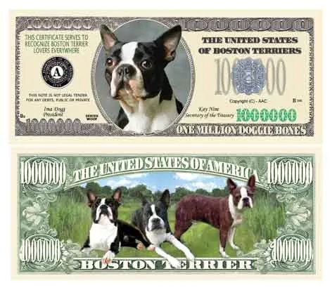 American Art Classics Boston Terrier Million Dollar Bill - Pack Of 5 -
