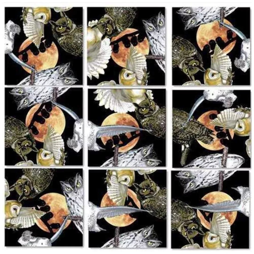 B.Dazzle Scramble Squares Puzzle Owls 9-Piece 4"x4"