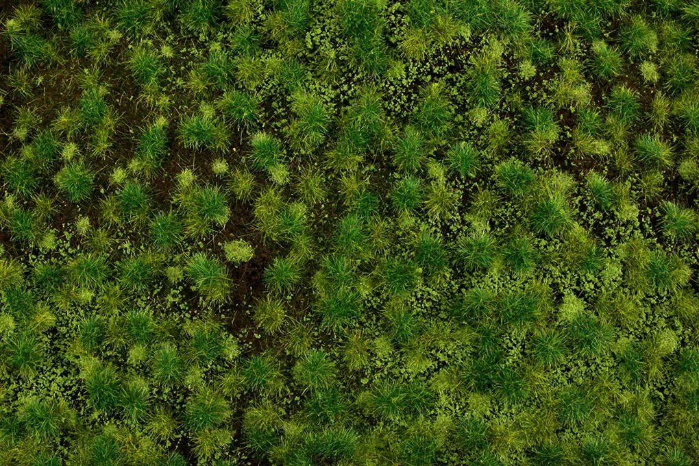 Bachmann SceneScapes 32922 Medium Green Tufted Grass Mat (11.75" x 7.5" Sheet)