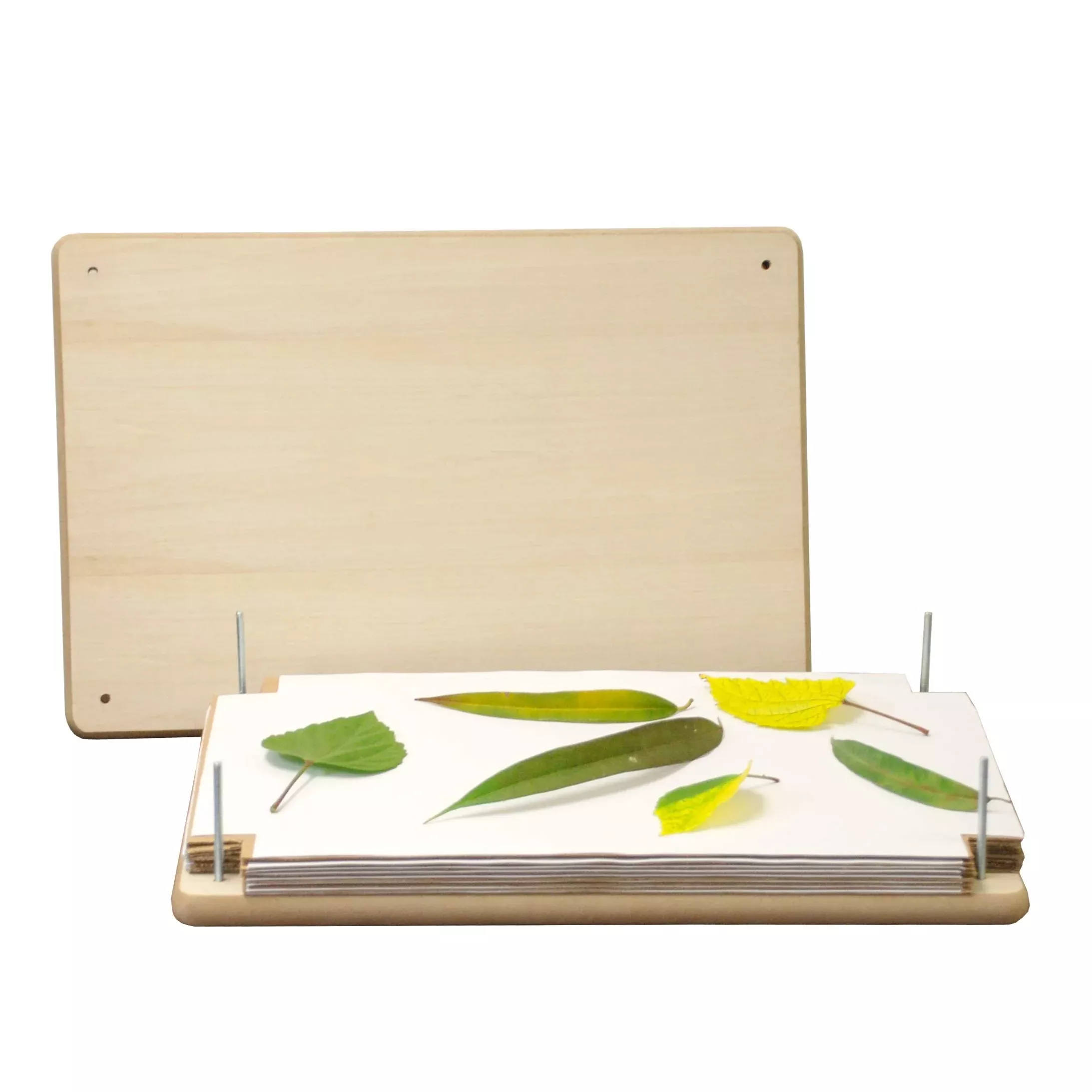 BestNest Nature Press 12x18 Inch Beige Kit for Botanical Projects