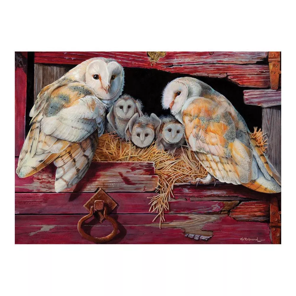 Cobble Hill 1000 Piece Jigsaw Puzzle for Ages 12 and Up