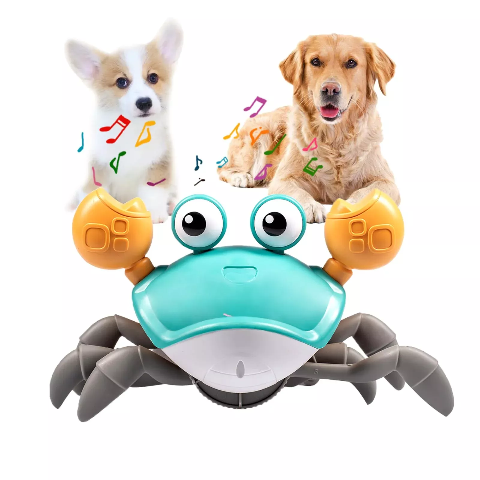 Dusja Dog Toy - Crawling Crab with Music & Lights, Interactive Fun for