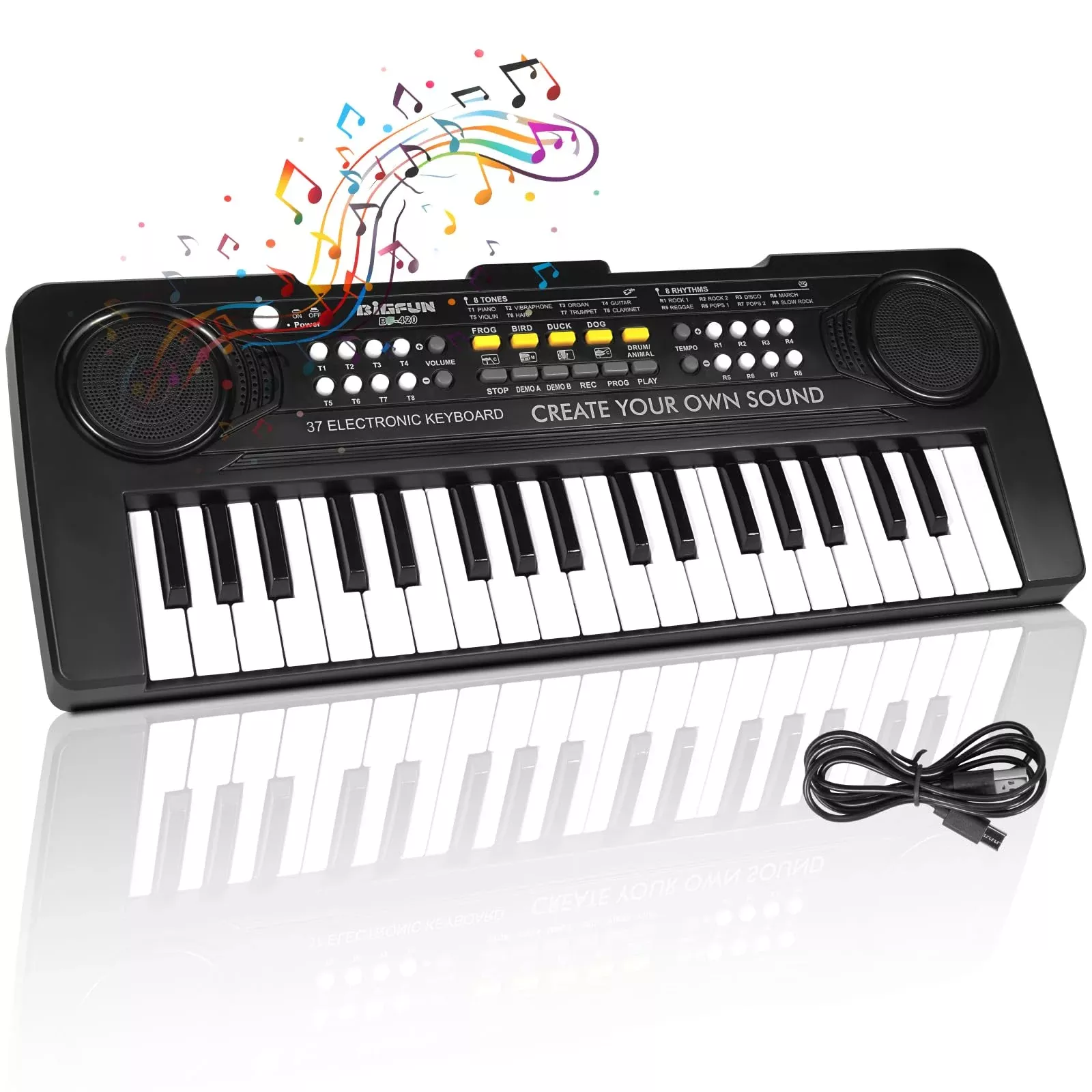 HEEPUEW 37 Keys Piano for Kids, Black, 16.92 x