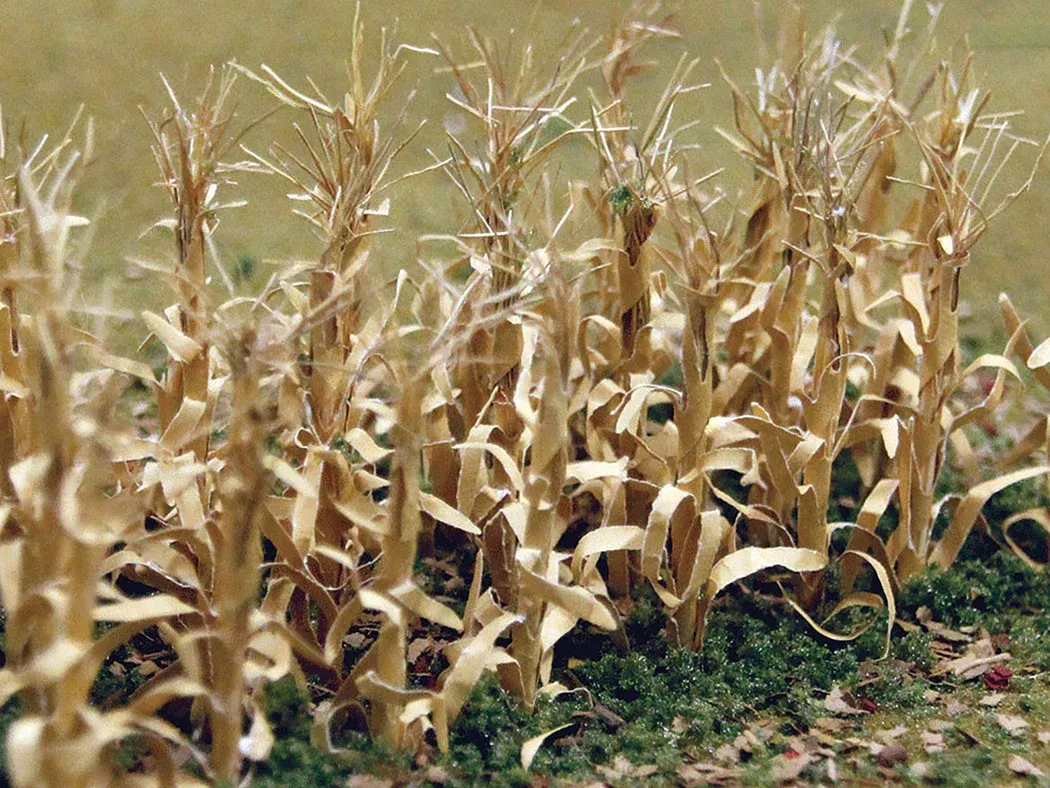 JTT Scenery Products 32503 1" Dried Corn Stalks (30 Pack)