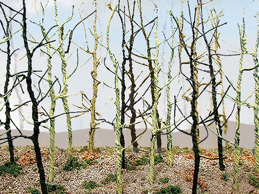 JTT Scenery Products 32509 Wood's Edge Trees - Bare (14 Pack)