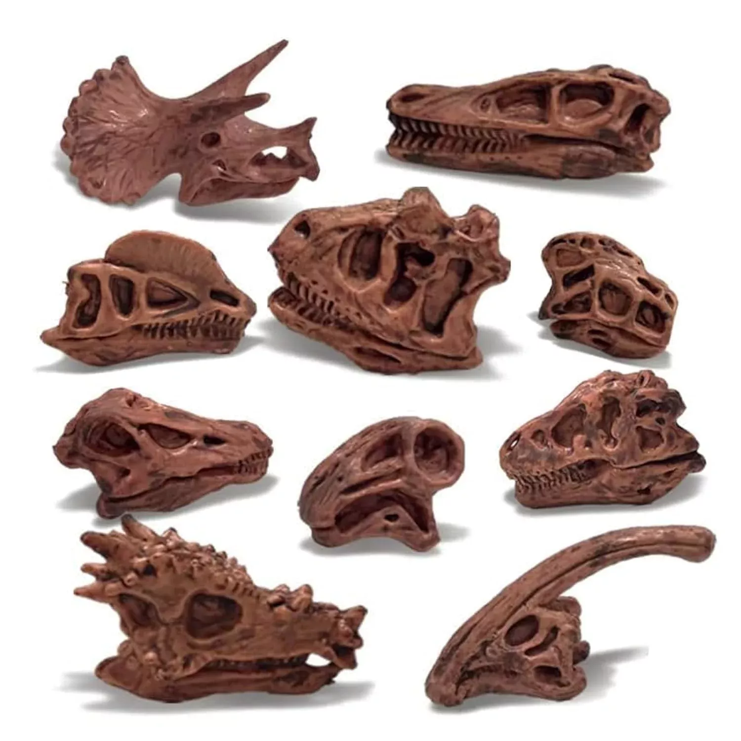 Lc Joycre 11Pcs Realistic Mini Dinosaur Bones Set T-Rex Skull For Sand