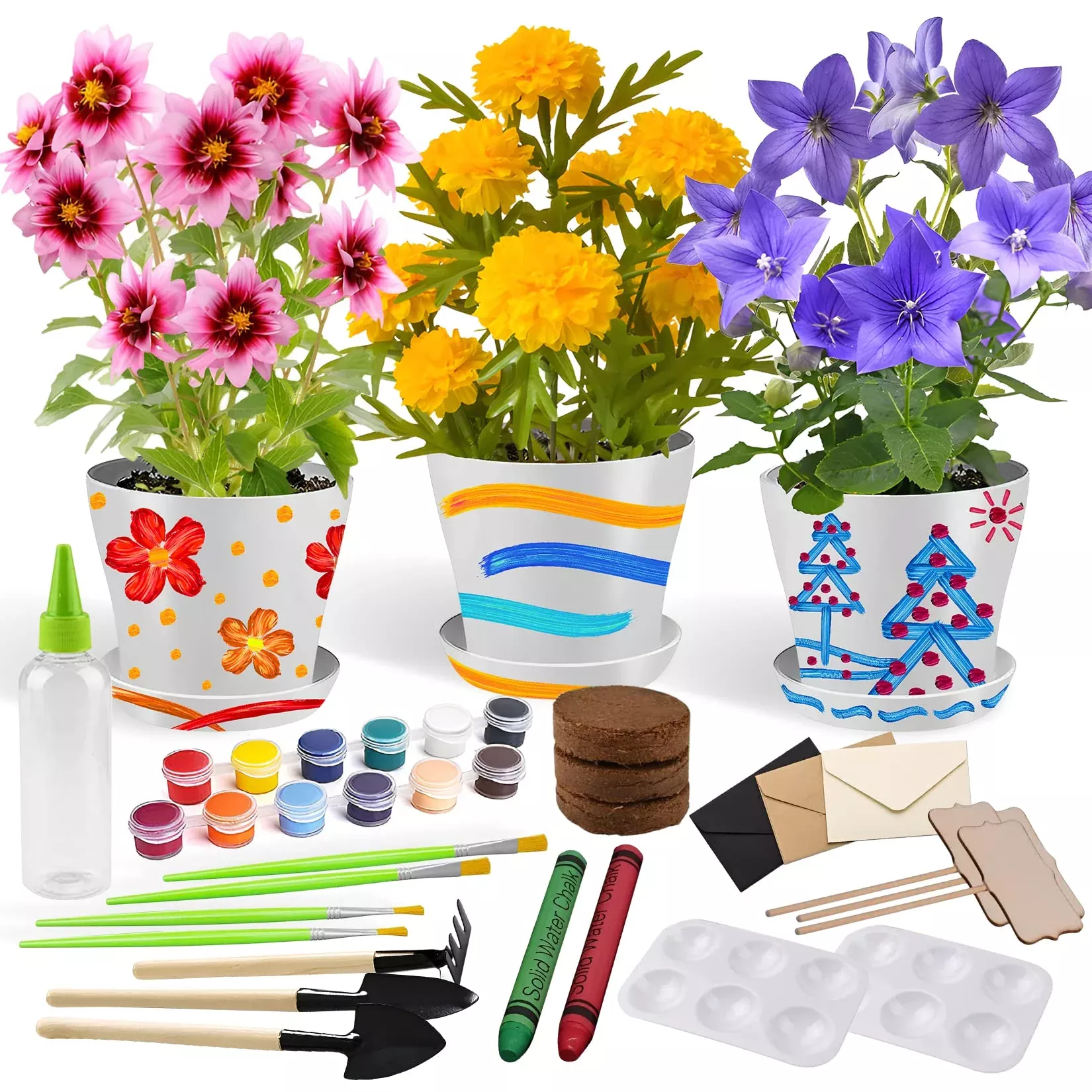 Ozzagar Paint & Plant Gardening Kit for Kids, Multicolor, Medium