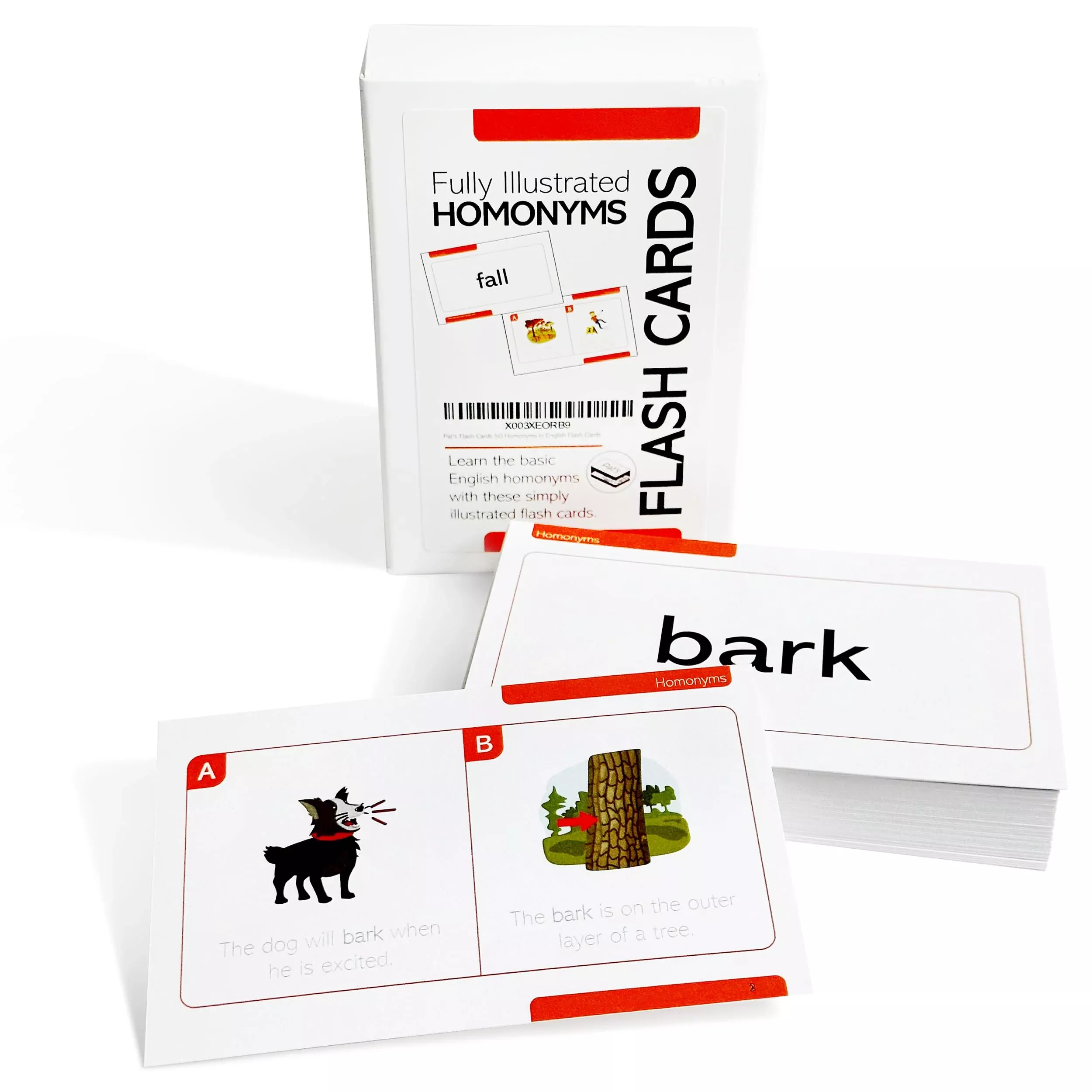 Pat's Flash Cards Homonyms Flash Cards 50 Count 3.5x5.75
