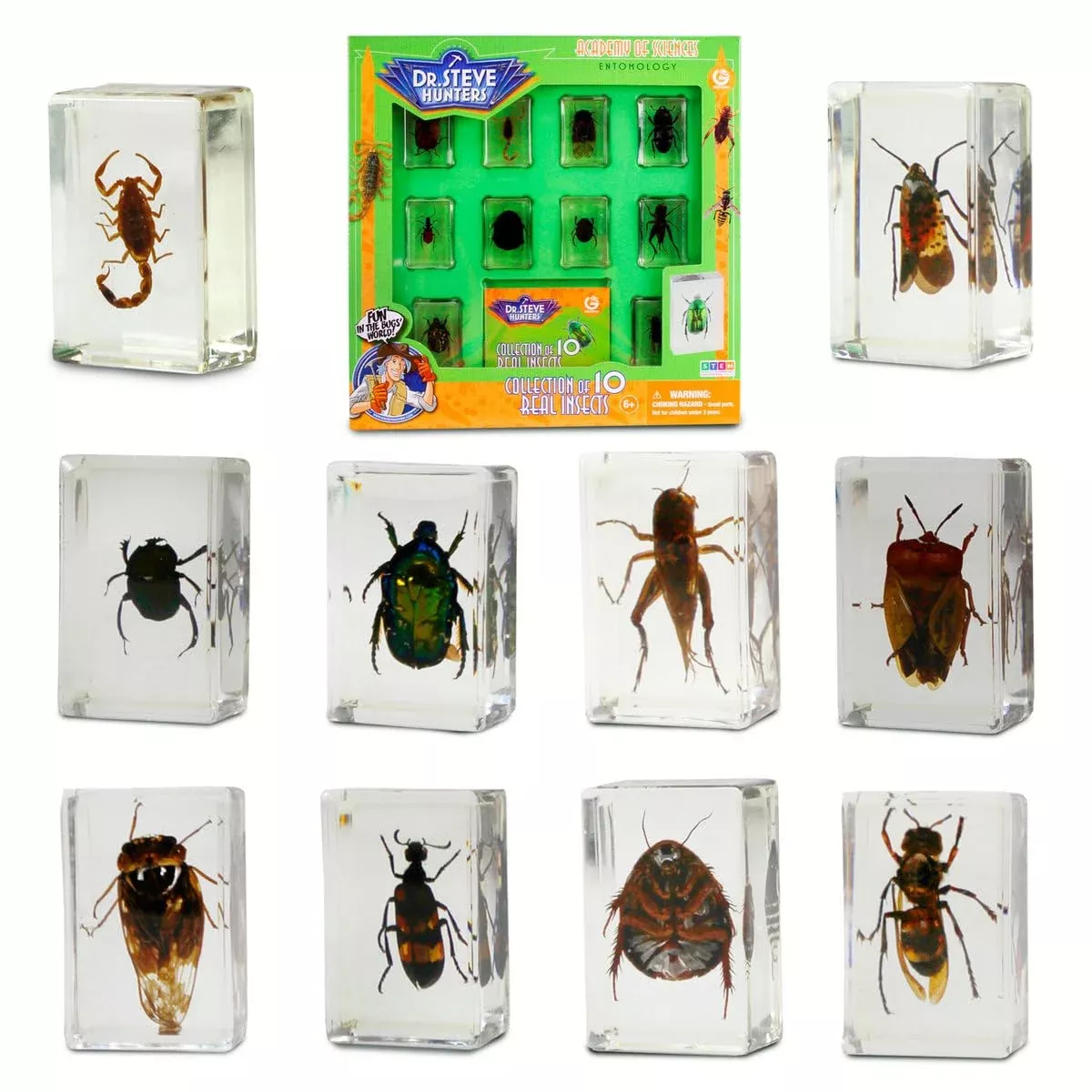 Uncle Milton Insect Specimen Kit with Magnifying Glass, 10 Pieces, Beige