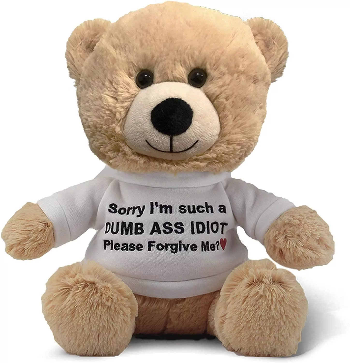 Witty Enterprise 10" Plush Teddy Bear - Beige Apology Gift with Bag fo