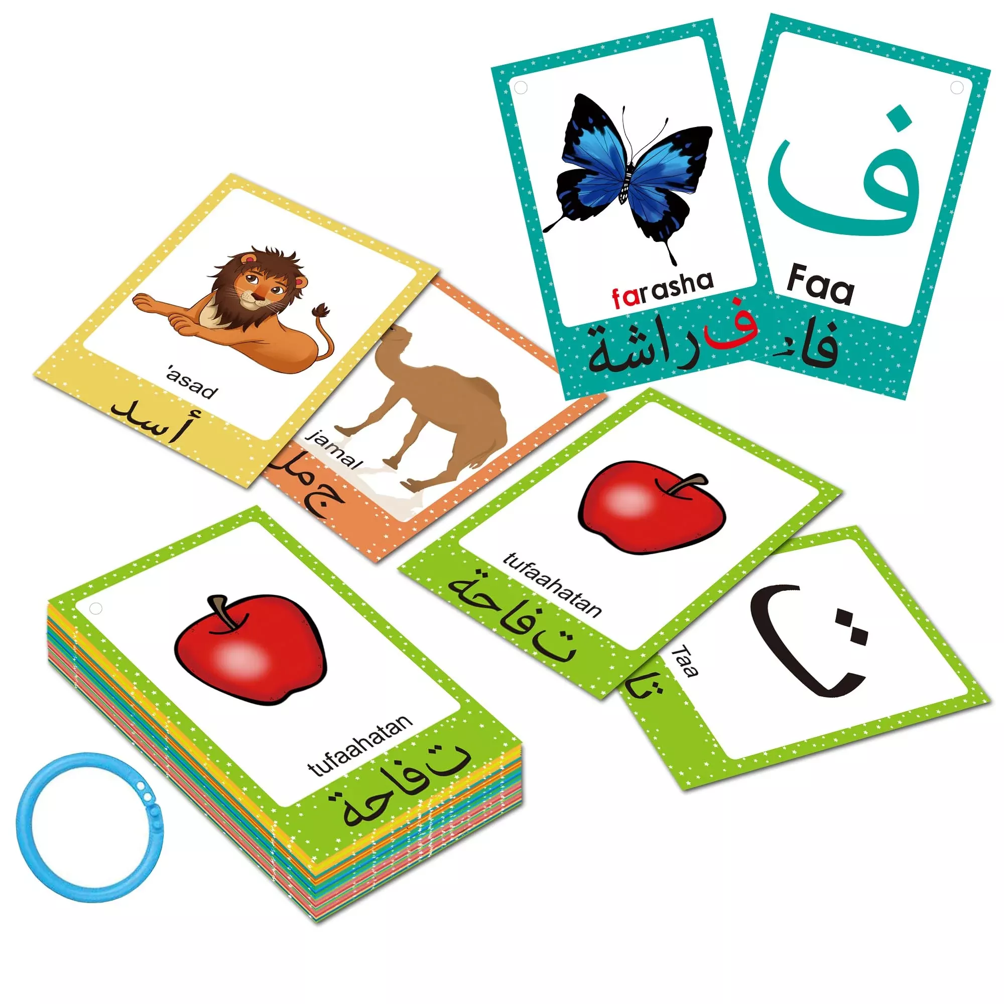 YIYDONG Arabic Alphabet Flash Cards for Kids, Learning Letters with En