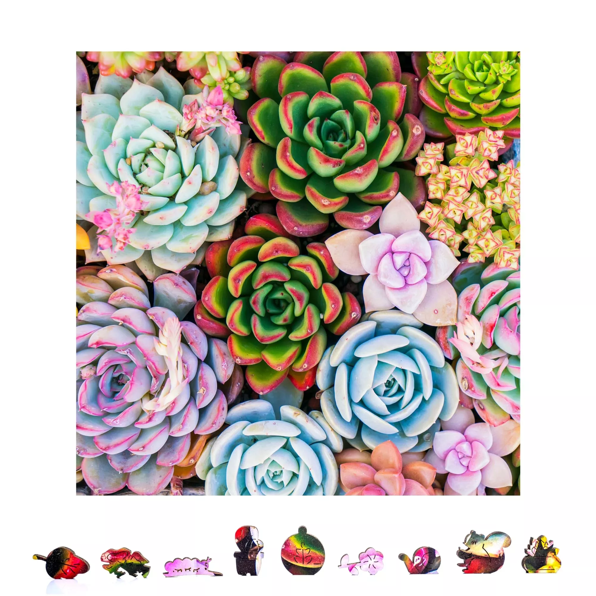 Zenchalet Succulent Sensation Wood Jigsaw Puzzles 1000 Pieces | For Im